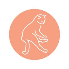 Cat enjoy rest color line icon. Pictogram for web page