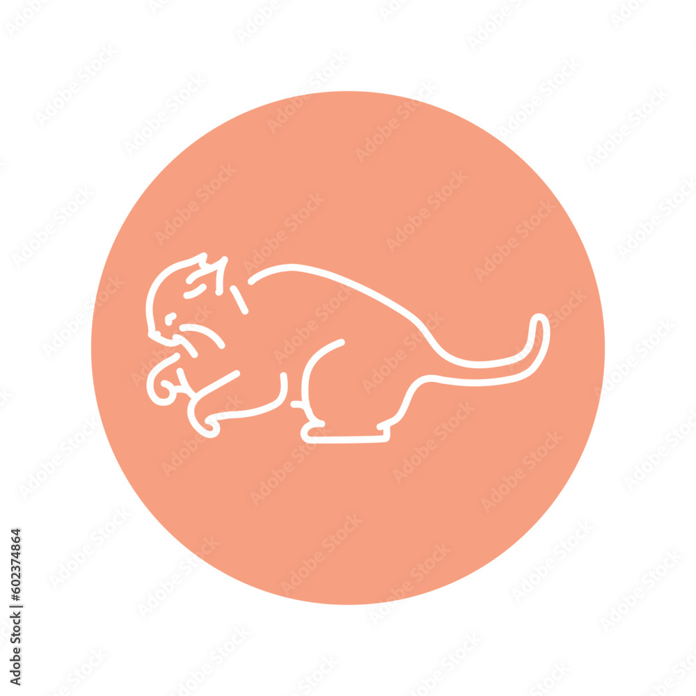 Poster evil cat fights color line icon. pictogram for web page