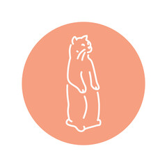 Cat stands in the position of a gopher color line icon. Pictogram for web page