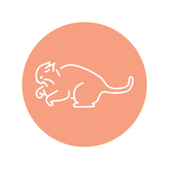 Evil cat fights color line icon. Pictogram for web page