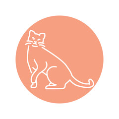Happy cat sitting color line icon. Pictogram for web page