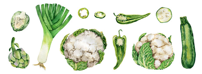 Watercolor green vegetables set. Fresh healthy organic food background. Cabbage, cauliflower, broccoli, zucchini, cucumber Agriculture, local farm market, diet, cooking illustration, menu design
