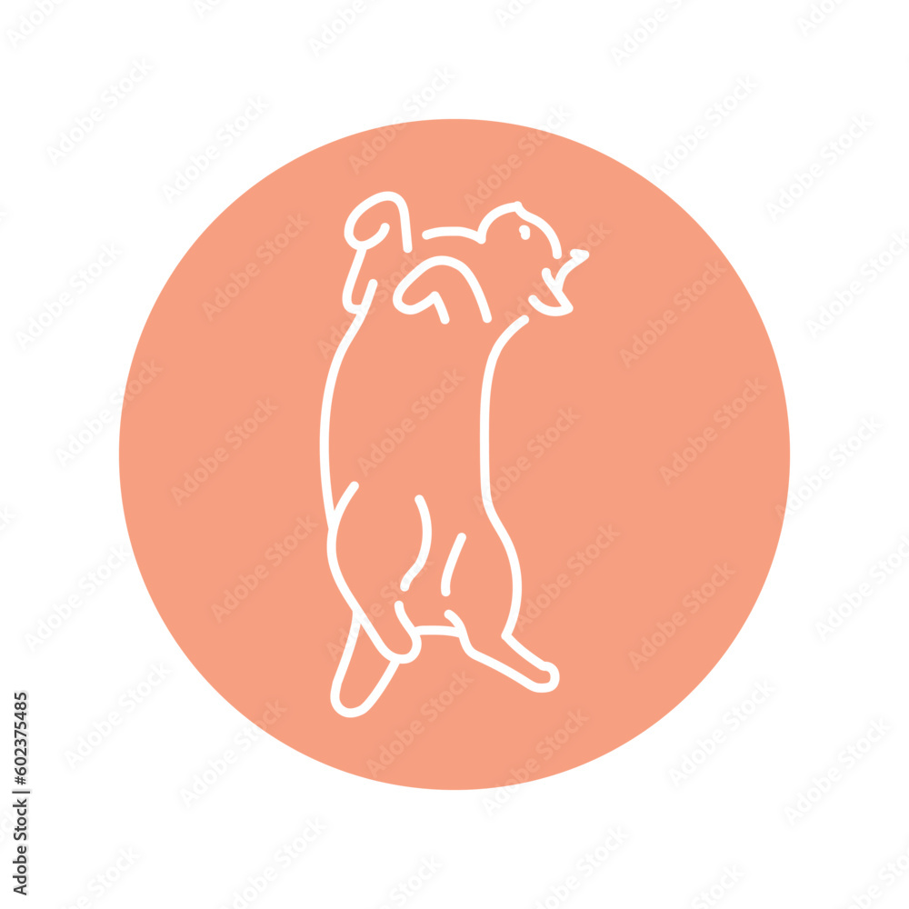 Poster lying cat on back color line icon. pictogram for web page