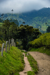 Typical Colombian landscape surrounded by nature and trees. 