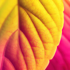 Close-up of an autumn leaf with shades, natural texture, and warm tones. Creates a cozy background for design inspiration. generative AI