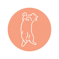 Lying cat on back color line icon. Pictogram for web page
