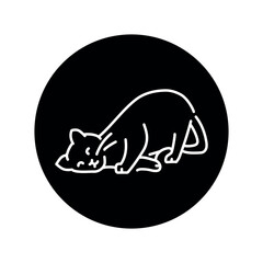 Happy cat caresses color line icon. Pictogram for web page