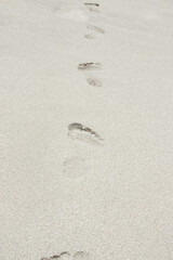 beautiful footprints in the sand near the sea on nature background