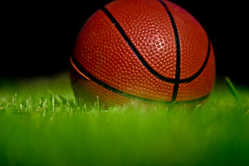 basketball on grass