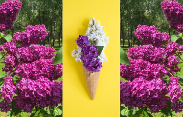 Ice cream cone with lilac and purple lilac. Collage. Close-up.