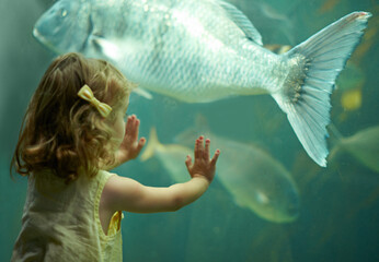 Girl, aquarium and kid looking at fish for learning, curiosity and knowledge, development and...