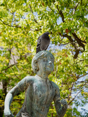 Fototapeta na wymiar 銅像の頭に乗る鳩