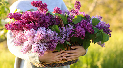 The girl holds a wicker basket with flowers in her hands. Basket with lilacs. Girl and flowers. Walk with a basket of lilacs in your hands in the spring garden.