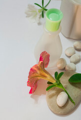 border of flowers and a bottle