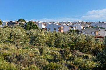 Obraz premium scenic view of Ozpinar community in Ovacik (Cesme, Izmir province, Turkiye)