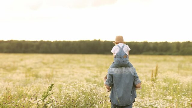 A young dad carries a little daughter in a straw hat in her arms. Walking through the chamomile field at sunset. The concept of life outside the city and walks outside the city on the weekend.
