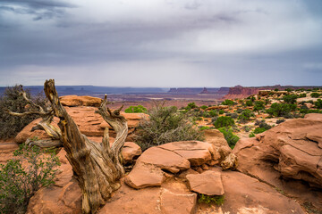 landscape of canyon lands