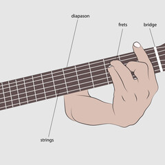 Vector example of how to fret a guitar, marked parts of the neck.