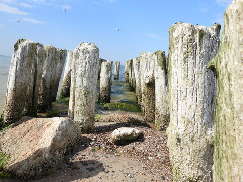 old delapidated pier on the seashore