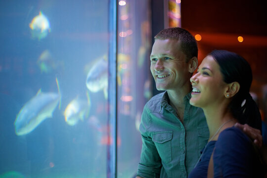 Smile, aquarium and couple looking at fish on vacation, holiday or date together. Happiness, oceanarium and man and woman watching marine life, animals swimming underwater in fishtank and having fun