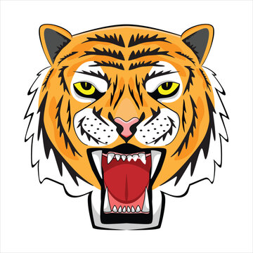 Yellow eye Tiger head or face show open mouth drawing in colorful cartoon vector