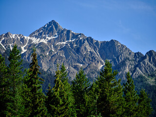 Obraz premium Rugged bare mountain peaks and deep pine and fir forests in the Canadian Rockies Alberta Province of Canada
