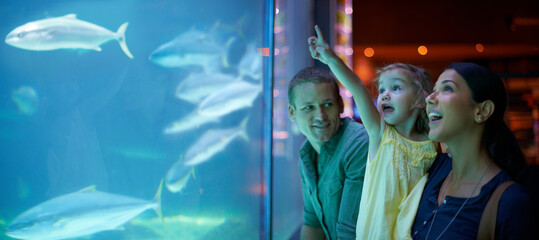 Family, aquarium and girl pointing at fish for learning, curiosity or education, bonding or care....