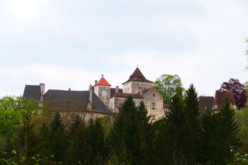 Fototapeta na wymiar Burg Steyersberg, Warth in Niederösterreich