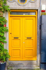 Yellow wood and an old door with a gray front.