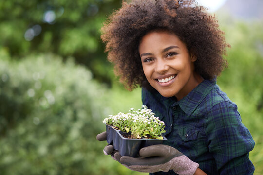 Black woman is gardening, plant and smile in portrait, botany mockup and environment with young gardener and flowers. Happy female person is outdoor with green fingers, growth and plants in garden
