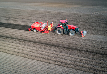 Obraz premium Luftbild - Seitenansicht von oben, moderne Landtechnik bei der Kartoffelpflanzung - Roter Traktor mit roter Kartoffellegemaschine.