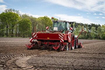 Moderne Landtechnik für die Bestellung des Katoffelackers im Einsatz -  Traktor mit...