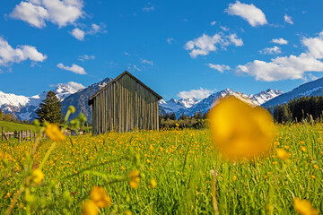 Allgäu - Stadel - Blumen - Frühling - Berge - Alpen
