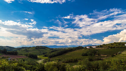 The beautiful vineyard of Collio, Friuli Venezia-Giulia, Italy