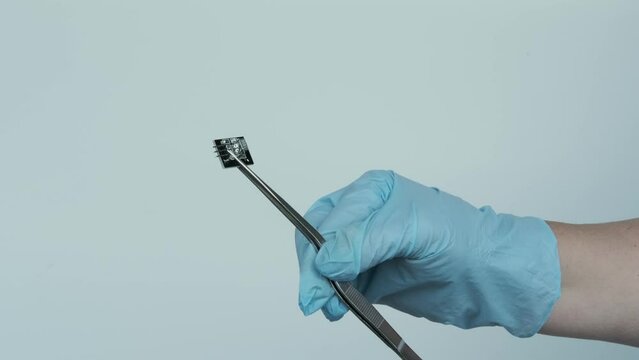 female scientist, doctor holding microprocessor, microchip, biochip with tweezers for immunocytochemical studies organs, concept virus genotyping, experimental developments in nanotechnology medicine