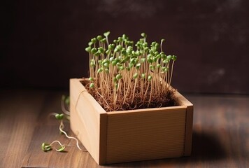 small sprouts standing in a brown wooden container, generative ai