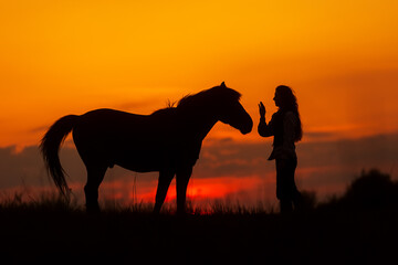 Fototapeta na wymiar silhouette of a woman with horse against the sunset