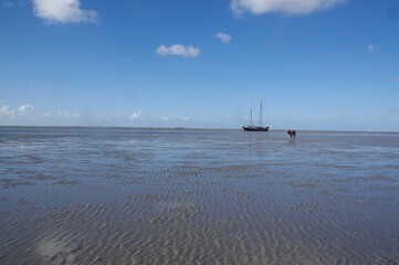 Fototapeta premium Wattenmeer Segeln