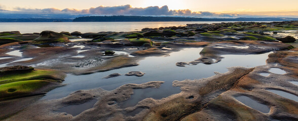 Rocky Shore on the Ocean Coast. Canadian Nature Background. Hornby Island, British Columbia, Canada. Sunset Sky