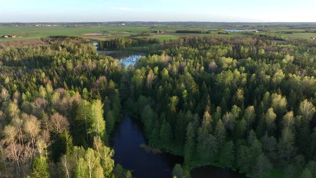 Aerial view of small lake in Warmia, northern Poland, Europe