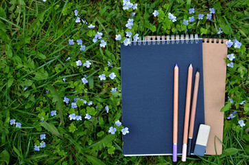 Two sketchbooks and colored pencils lie on the meadow with green grass and blooming veronica flowers (veronica chamaedrys) .Art lessons outdoors, drawing like a hobby  concept.