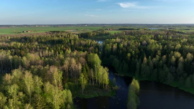 Aerial view of small lake in Warmia, northern Poland, Europe