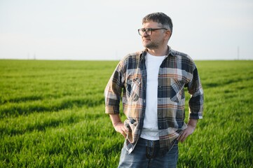 Portrait of senior farmer agronomist in wheat field. Successful organic food production and cultivation.