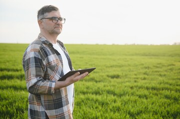 Portrait of senior farmer standing in green wheat field.