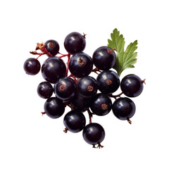 Black currant isolated on white background