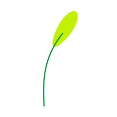 Green hand-drawn leaf vector illustration