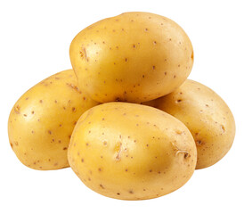 potato, isolated on white background, full depth of field