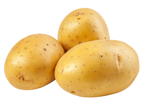 potato, isolated on white background, full depth of field