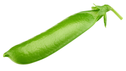 green Pea pod, isolated on white background, full depth of field