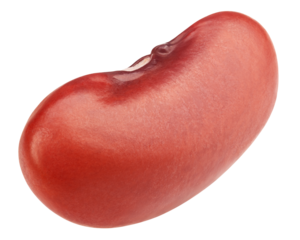 red kidney bean, isolated on white background, full depth of field